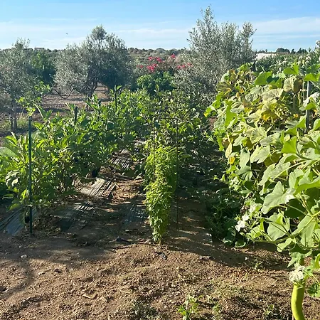 Apartment Baglio Il Gelso E L'ulivo Il Mandorlo Reitani