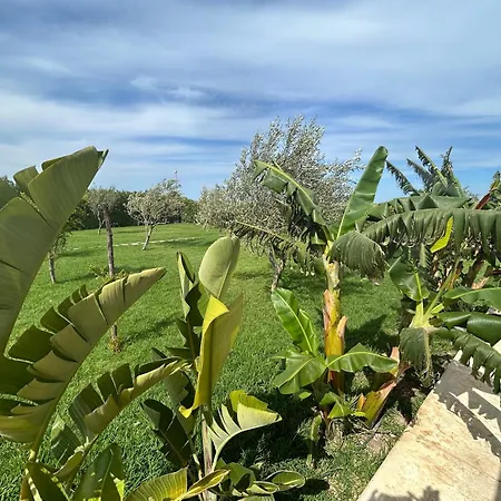 Baglio Il Gelso E L'ulivo Il Mandorlo Apartment Reitani